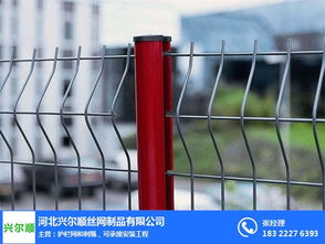 球場護欄網生產廠家 興爾順絲網制品公司 四川球場護欄網高清圖片 高清大圖